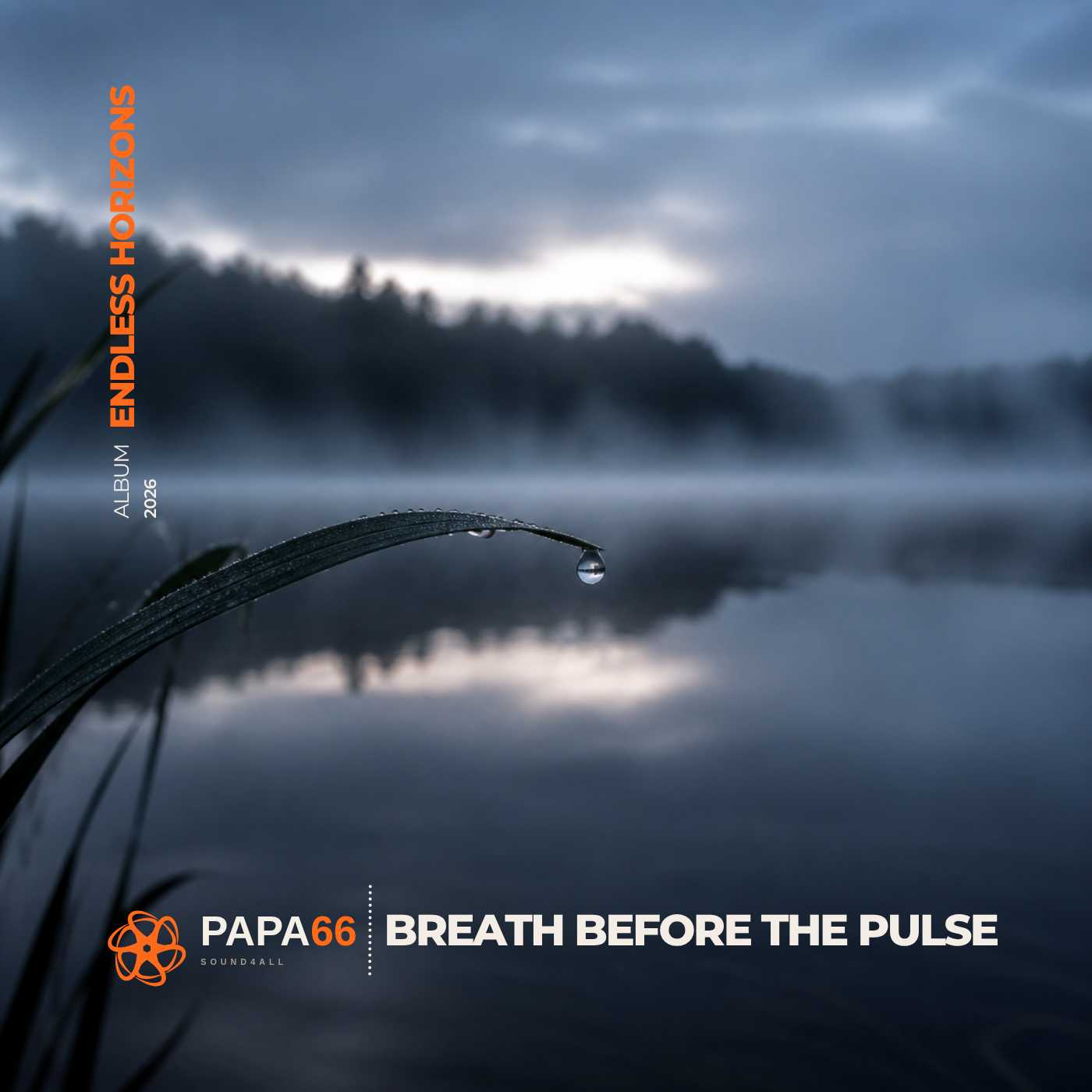Breath Before the Pulse