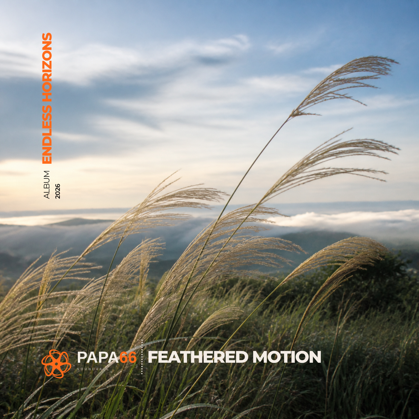 Feathered Motion