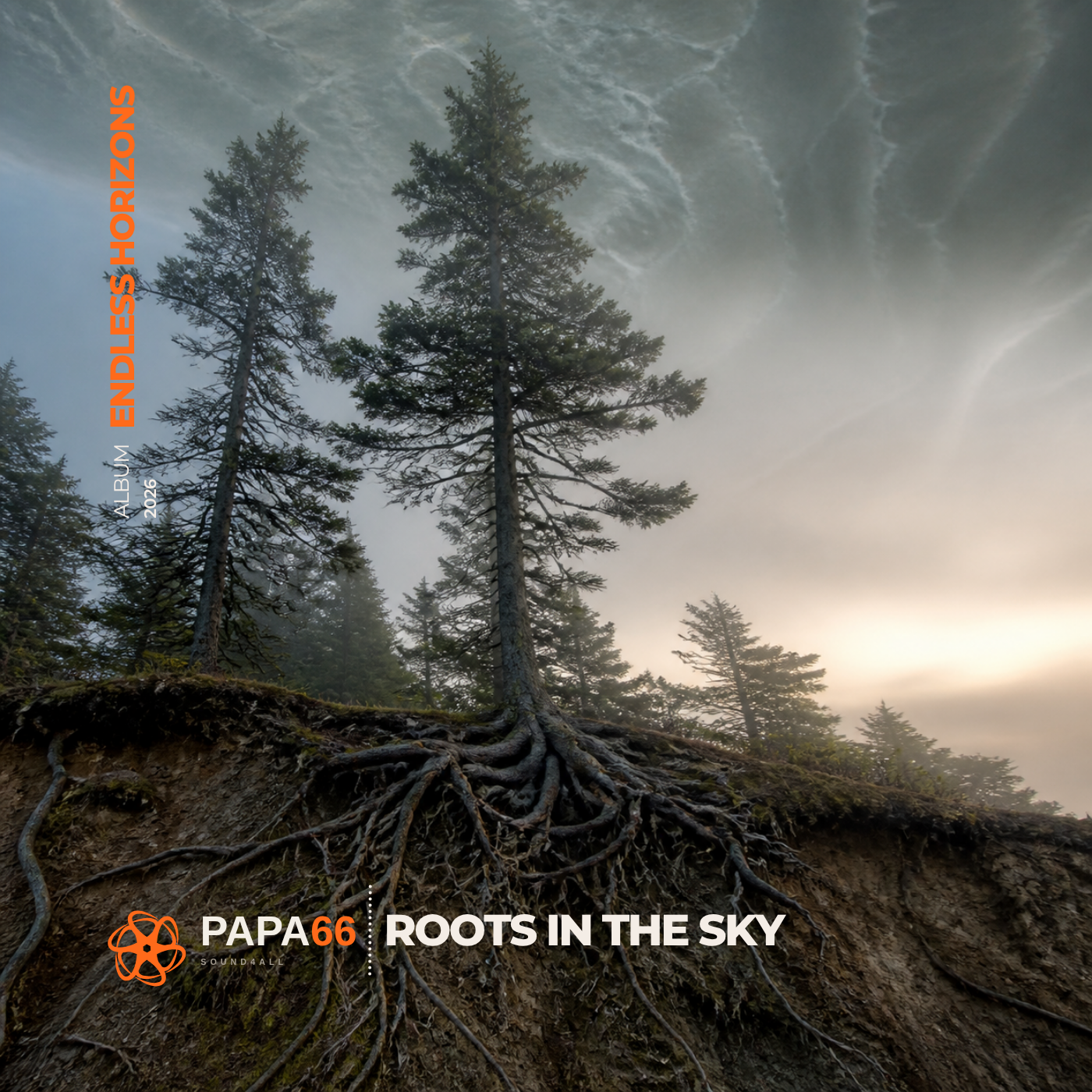 Roots in the Sky