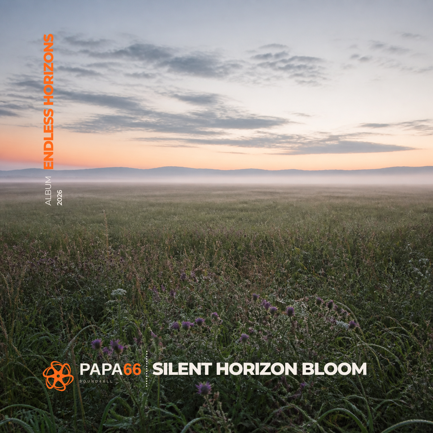 Silent Horizon Bloom