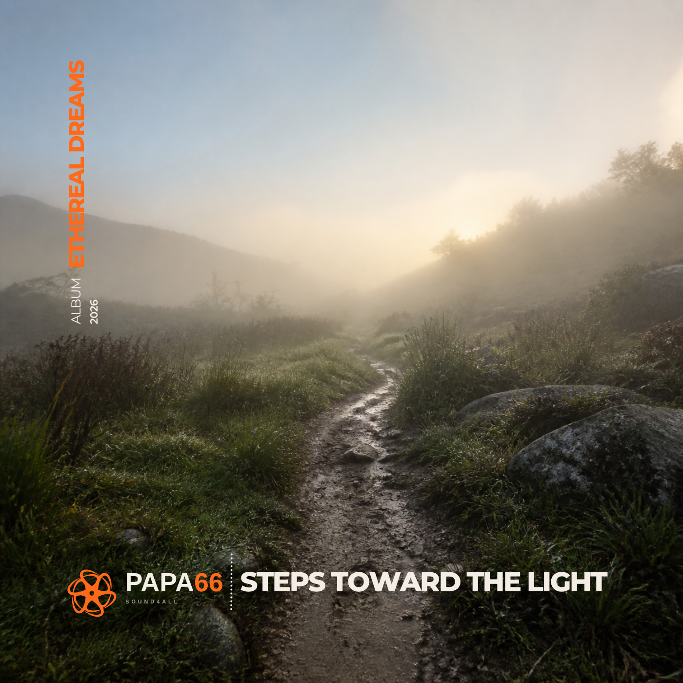 Steps Toward the Light