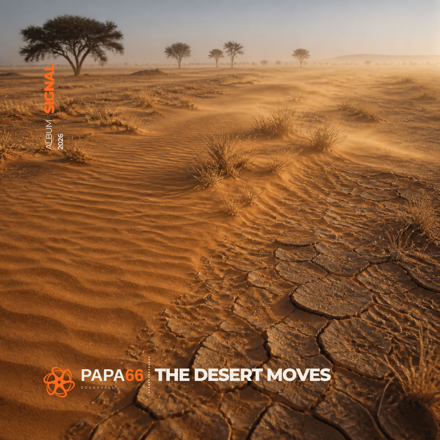 The Desert Moves