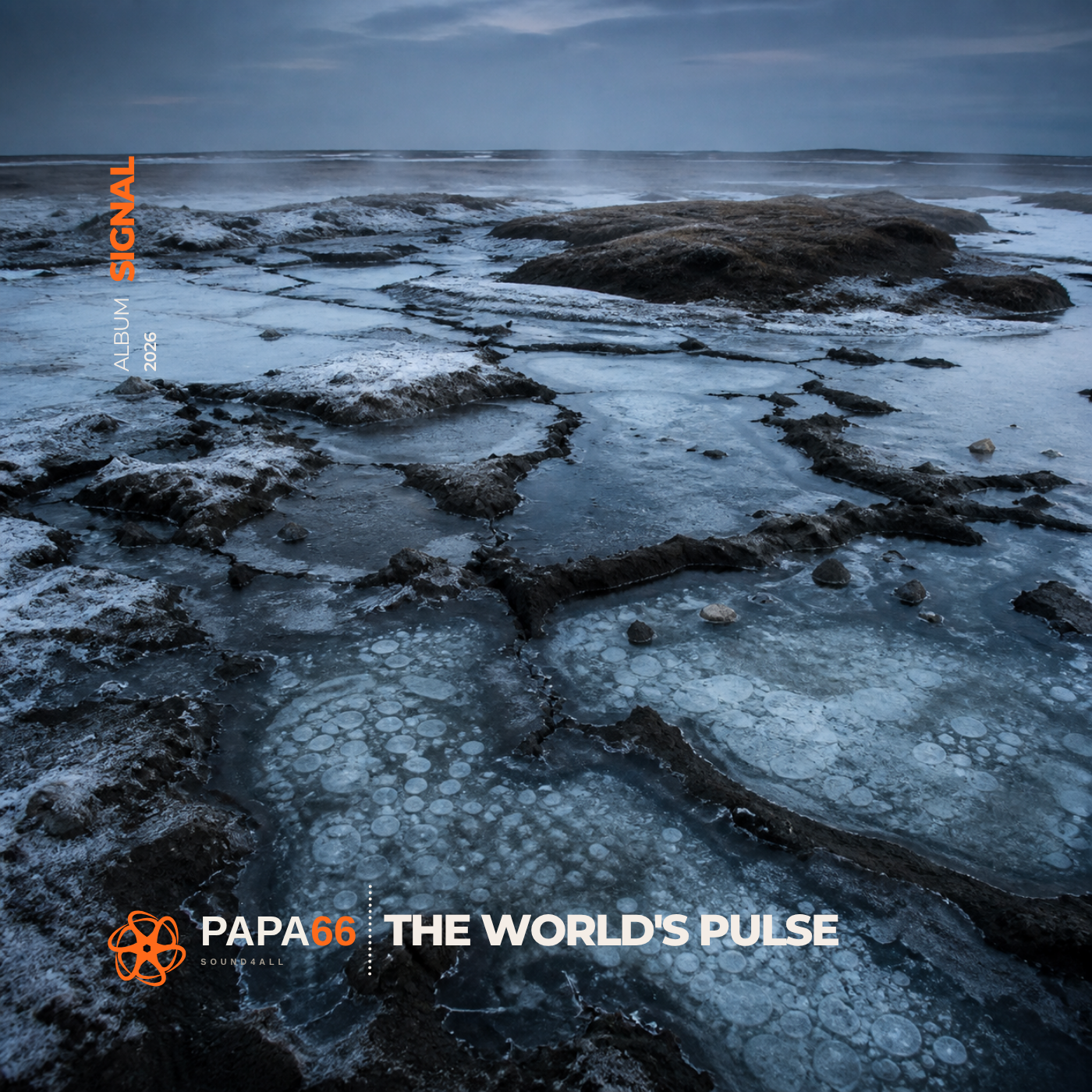 The World's Pulse