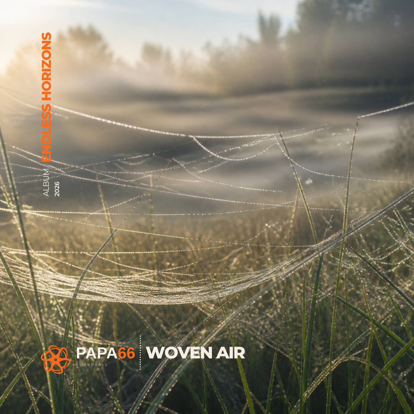 Woven Air